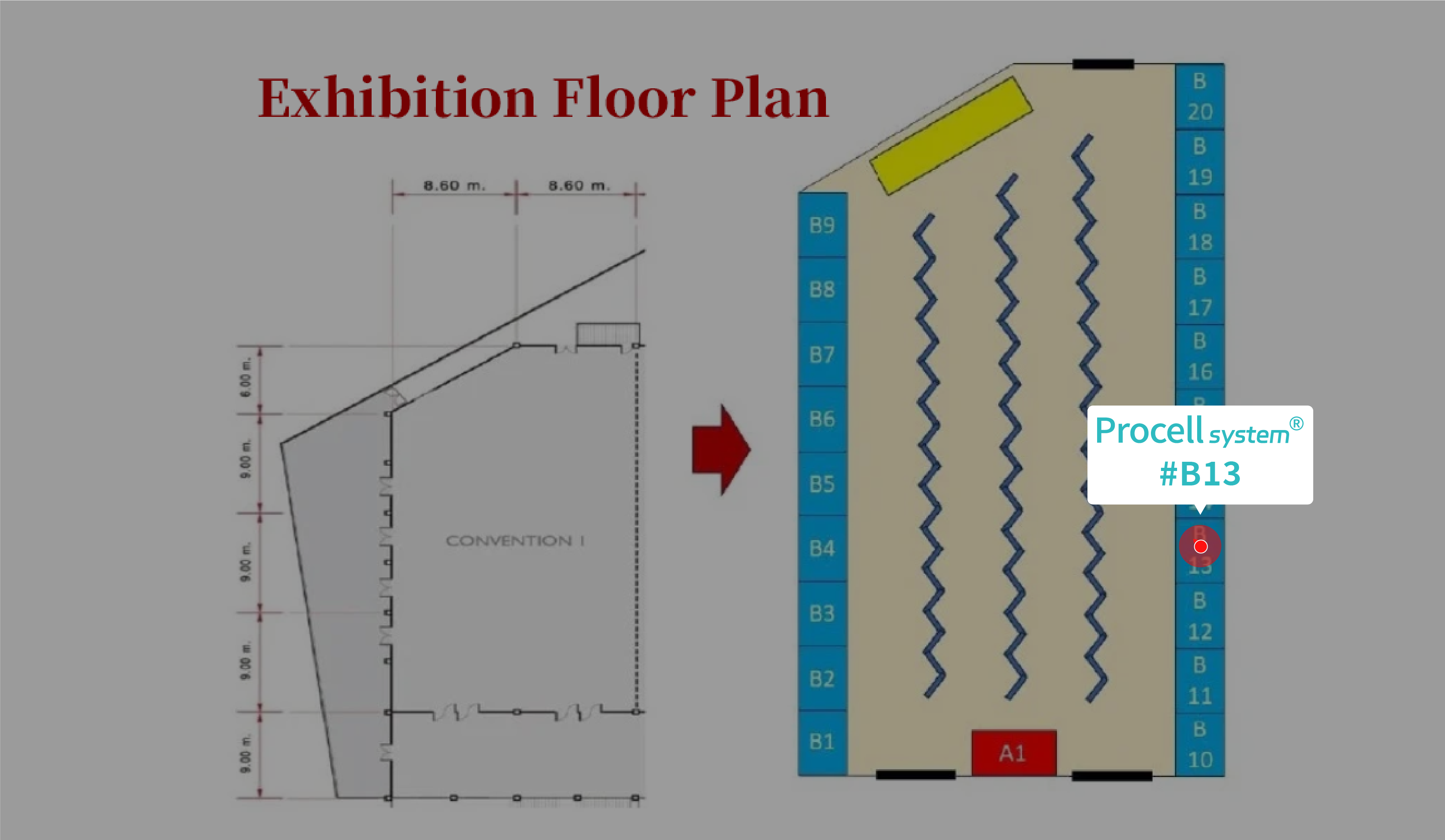 Meet Procell at TSB2026 | Booth B13 | Cell Culture Solutions-1