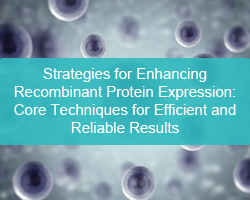 Strategies for Enhancing Recombinant Protein Expression: Core Techniques for Efficient and Reliable Results - cover