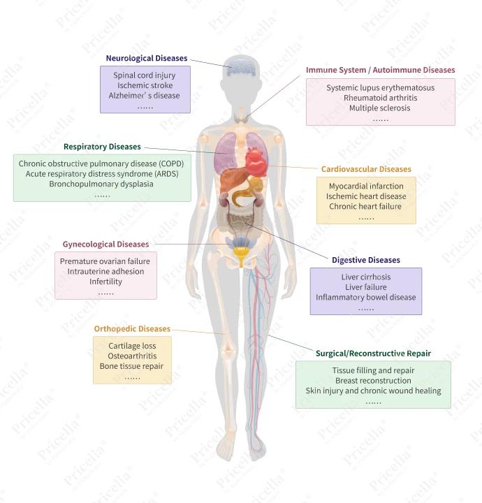 Therapeutic applications of MSCs in various diseases