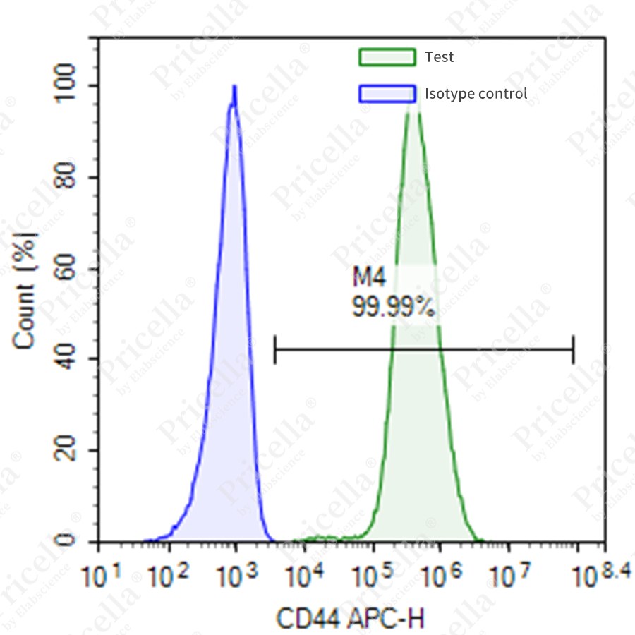 Rat bone marrow mesenchymal stem cells（CD44)