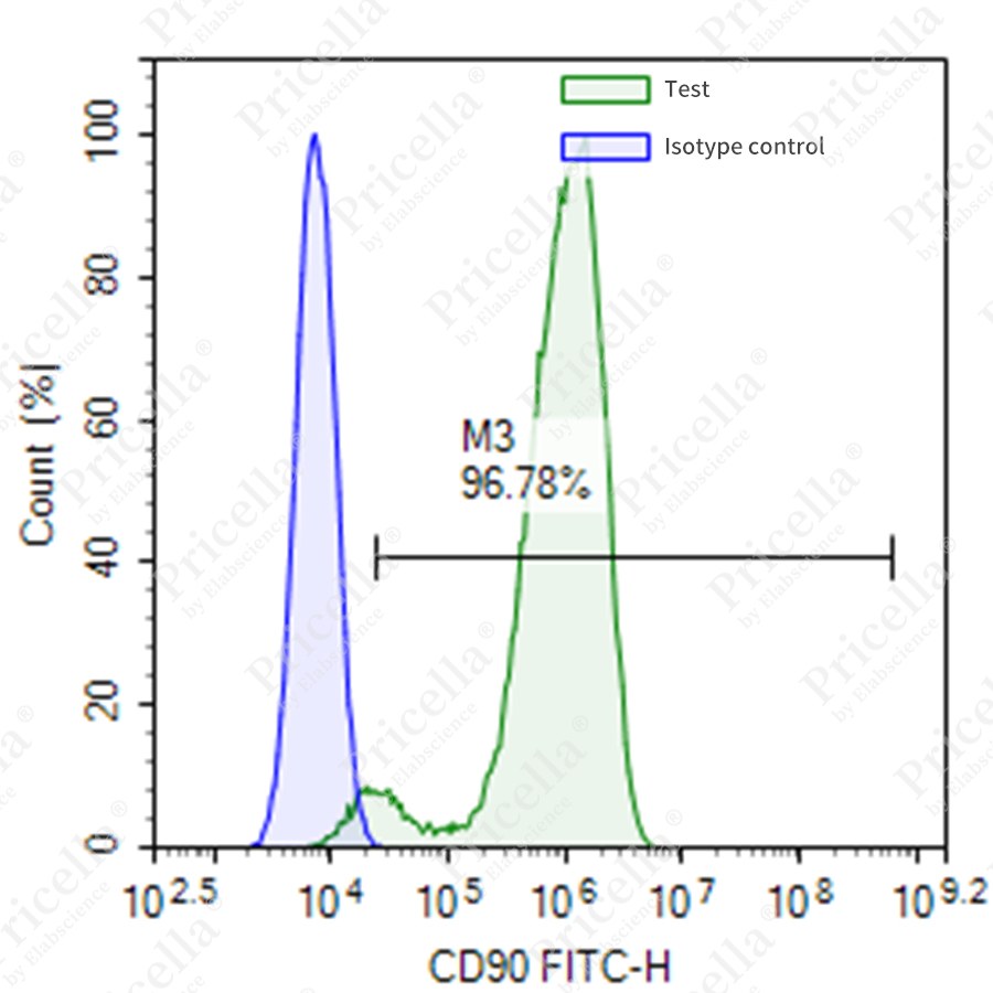 Rat bone marrow mesenchymal stem cells（CD90）