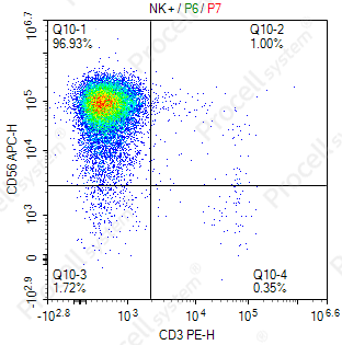 Flow cytometry analysis of CD3 negative and CD56 positive expanded NK cells.