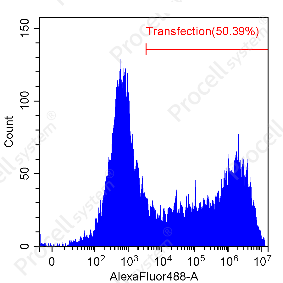 THP-1 Flow cytometry detection (Transfection Performance), Mergene 1000®