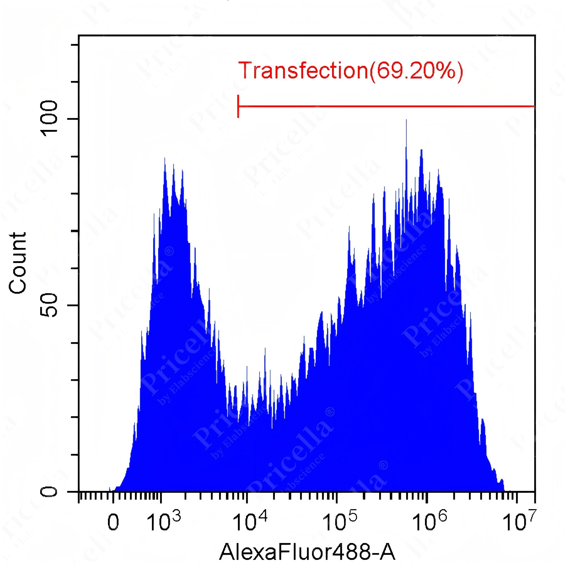 Transduction Protocol for RAW 264.7 Cells: A Complete, Ready-to-use Workflow-6