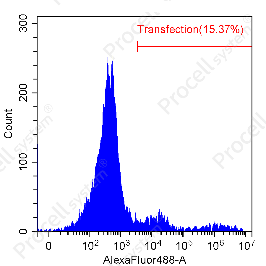 THP-1 Flow cytometry detection (Transfection Performance), T brand
