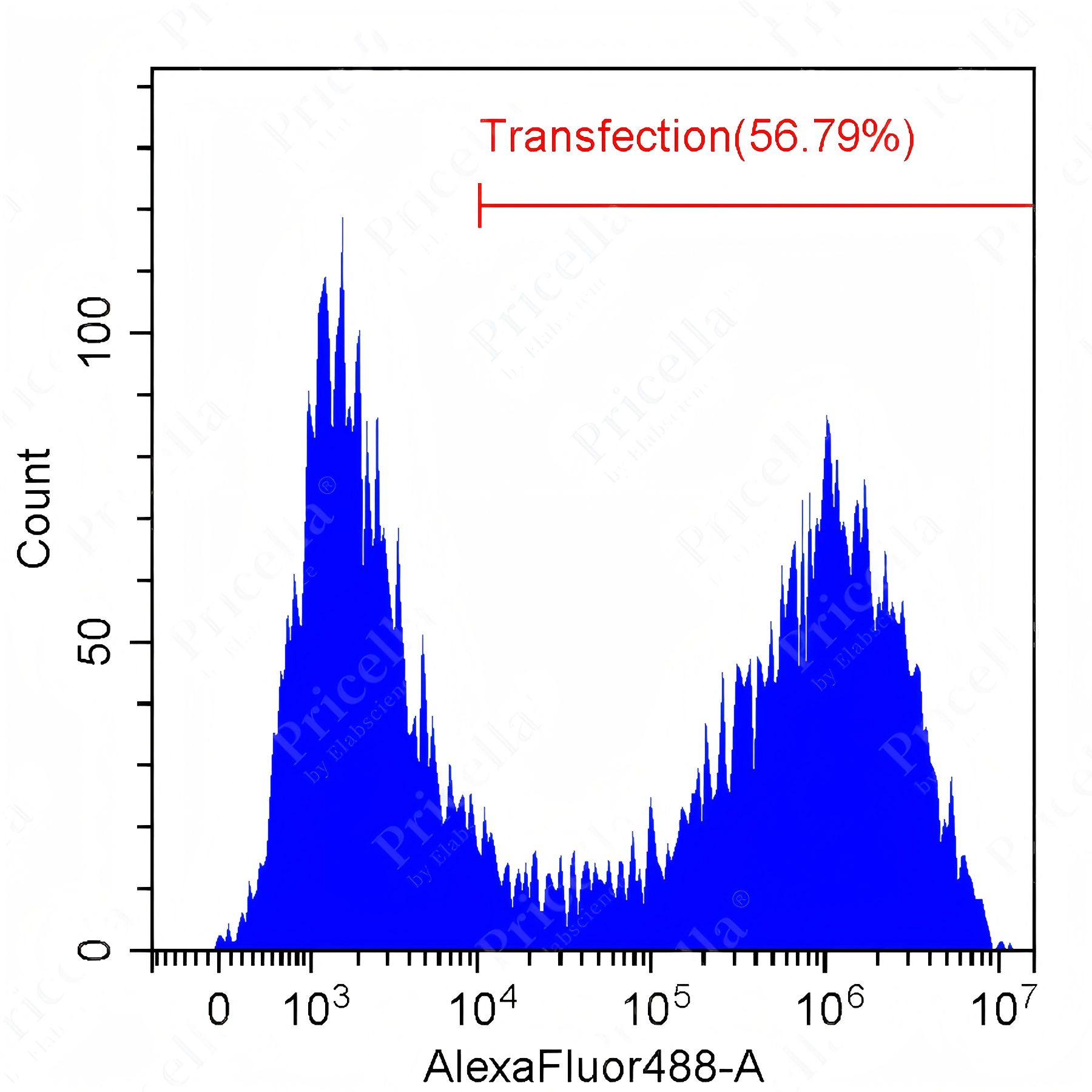 Transduction Protocol for RAW 264.7 Cells: A Complete, Ready-to-use Workflow-7