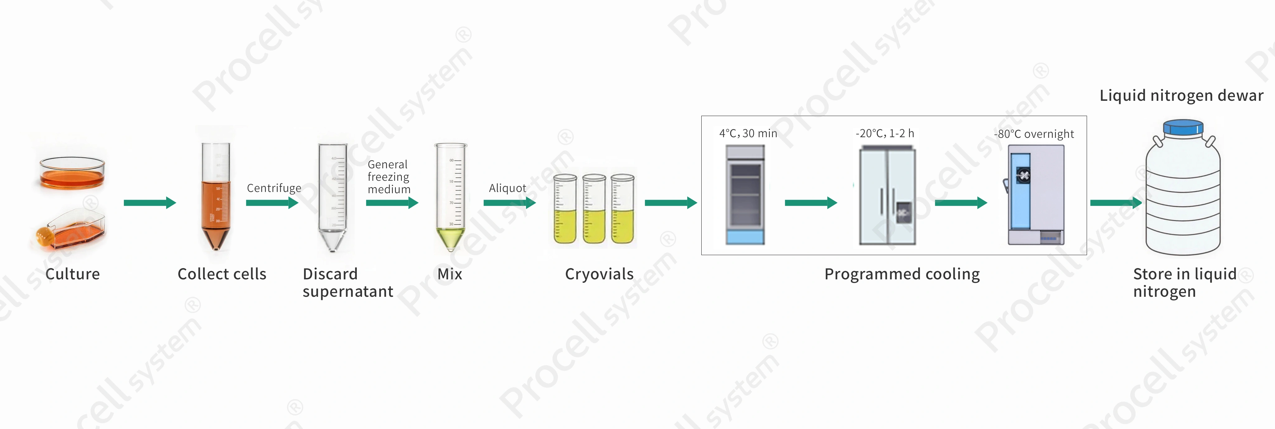 Illustration of programmable freezing operation