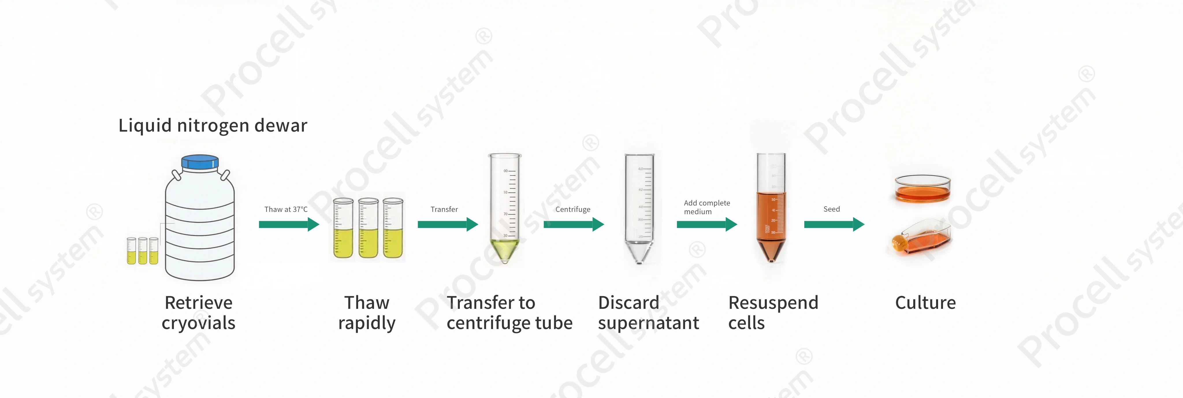 Illustration of cell resuscitation operation