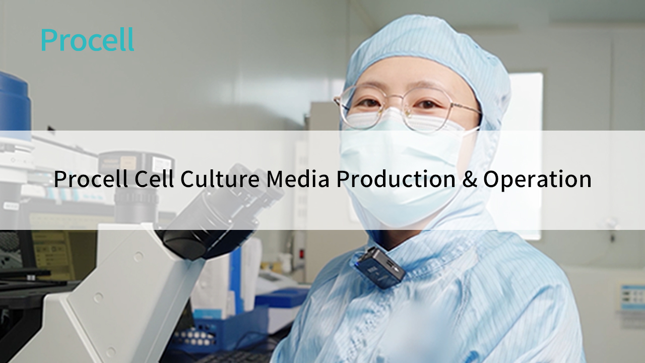 Procell Cell Culture Media Production & Operation - cover