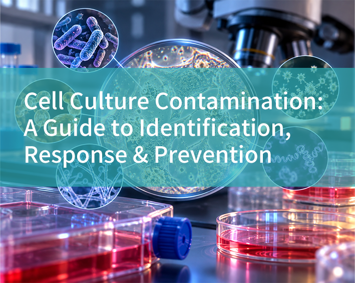 Cell Culture Contamination: A Guide to Identification, Response & Prevention - cover