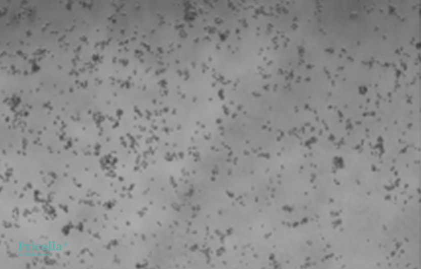 Mastering Fluorochrome-labeled Cells: From Principles to Engineering-10