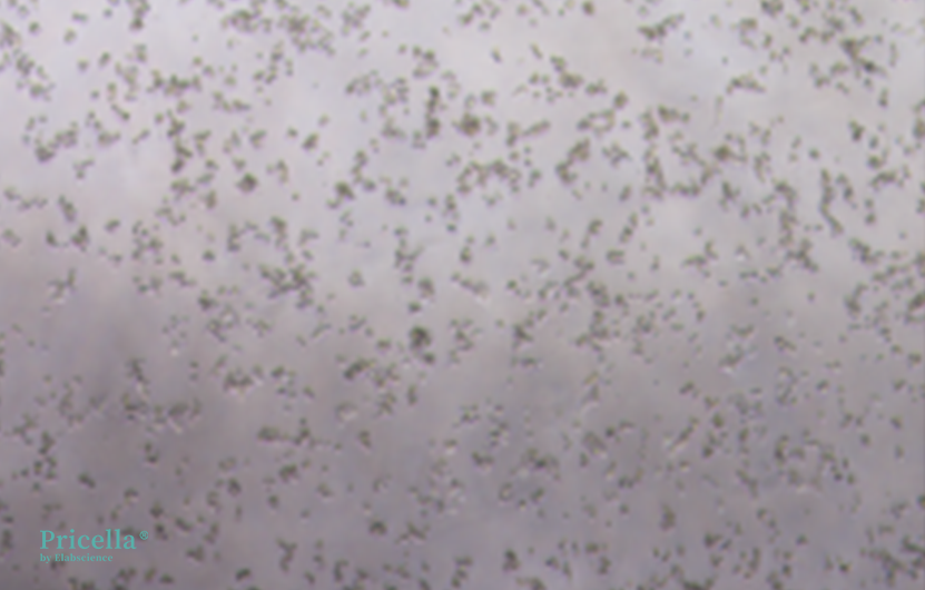 Mastering Fluorochrome-labeled Cells: From Principles to Engineering-8