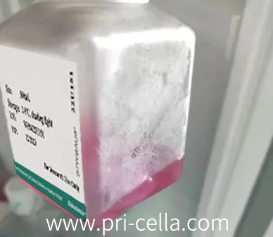 Causes and Solutions of Six Major Culture Problems of Adherent Cells-1