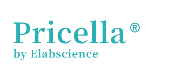 Procellsystem Global Brand Identity Update-1