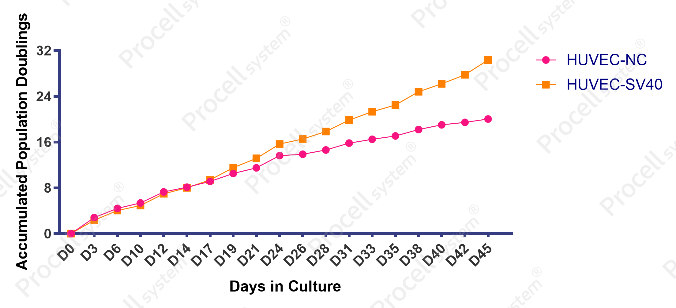 Proliferation HUVEC immortalization