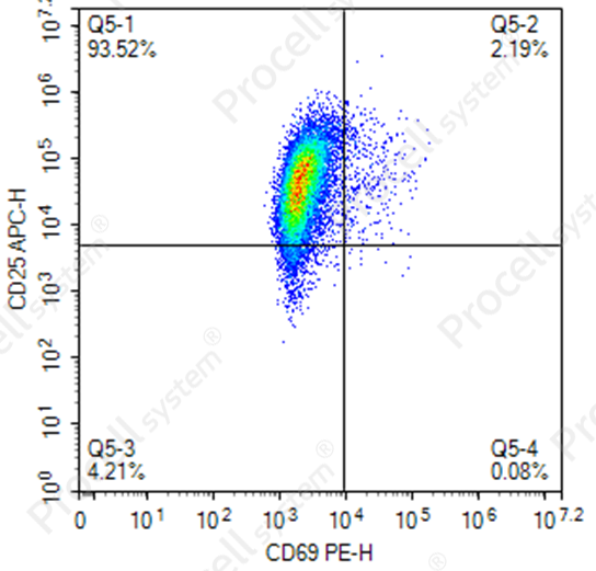Optimizing in Vitro T Cell Culture: A Step-by-Step Experimental Protocol-4