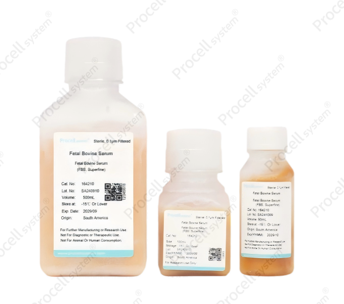 Procell® fetal bovine serum for cell culture research.