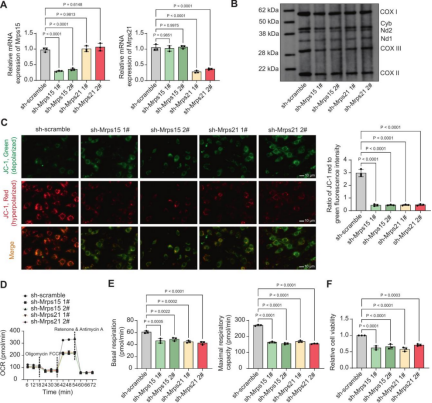 In Vitro Cell Models: Powerful Tools for Cardiovascular Disease Research-3