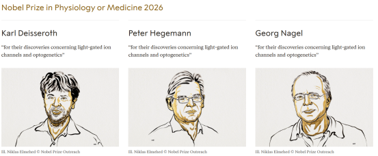 Optogenetics Opens a New Window into Neuroscience-1