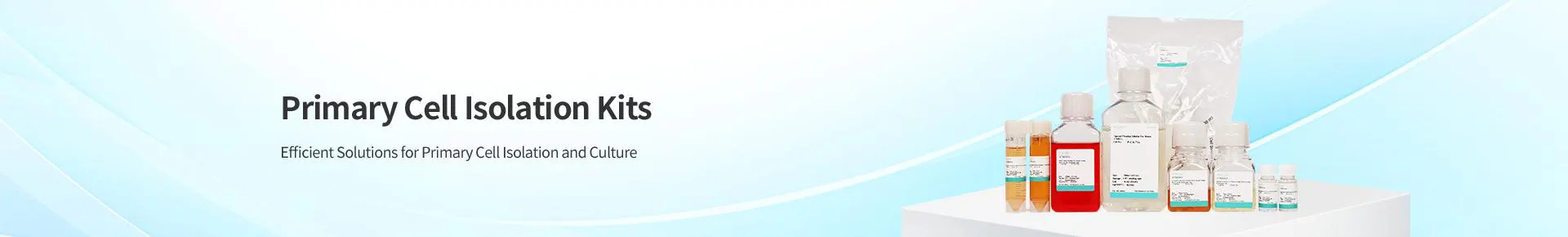 Primary Cell Isolation Kits