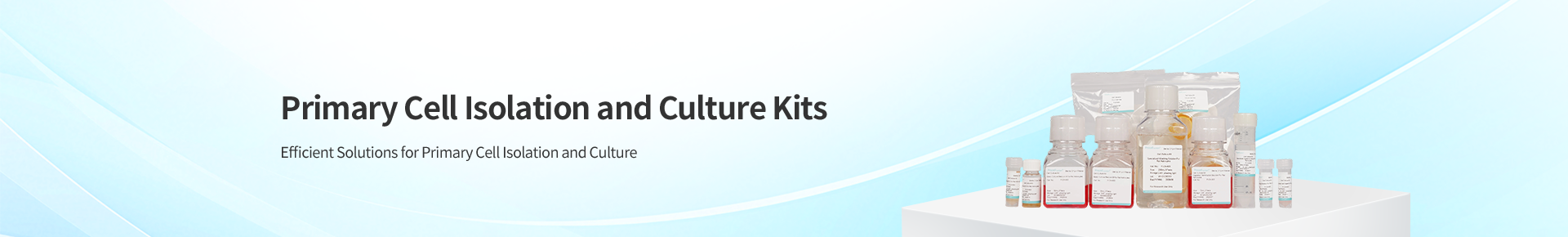 Primary Cell Isolation and Culture Kits