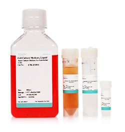 Universal Primary Cell Complete Media