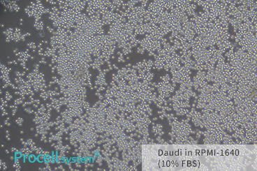 Growth comparison of multiple cell lines