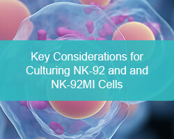 Key Considerations for Culturing NK-92 and and NK-92MI Cells - cover