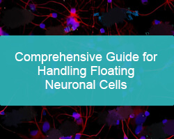 Comprehensive Guide for Handling Floating Neuronal Cells - cover