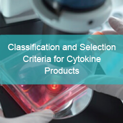 Classification and Selection Criteria for Cytokine Products - cover