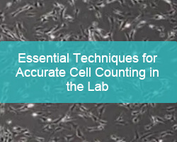 Essential Techniques for Accurate Cell Counting in the Lab - Pricella