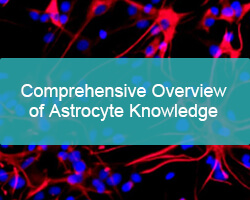 Comprehensive Overview of Astrocyte Knowledge - Pricella - cover