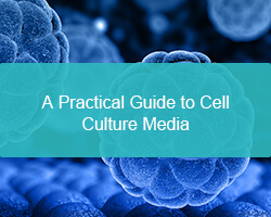 A Practical Guide to Cell Culture Media - cover