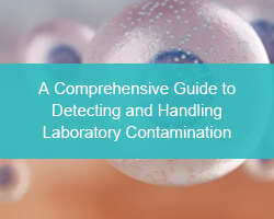 A Comprehensive Guide to Detecting and Handling Laboratory Contamination