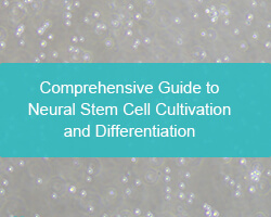 Comprehensive Guide to Neural Stem Cell Cultivation and Differentiation - cover