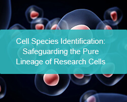 Cell Species Identification: Safeguarding the Pure Lineage of Research Cells - cover