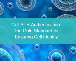 Cell STR Authentication: The Gold Standard for Ensuring Cell Identity - cover