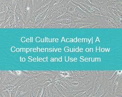 Cell Culture Academy| A Comprehensive Guide on How to Select and Use Serum - cover