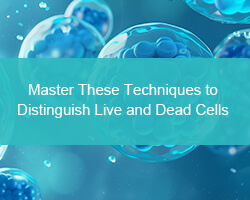 Master These Techniques to Distinguish Live and Dead Cells - cover