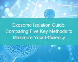 Exosome Isolation Guide: Comparing Five Key Methods to Maximize Your Efficiency - cover
