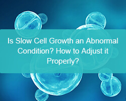 Is Slow Cell Growth an Abnormal Condition? How to Adjust it Properly? - cover