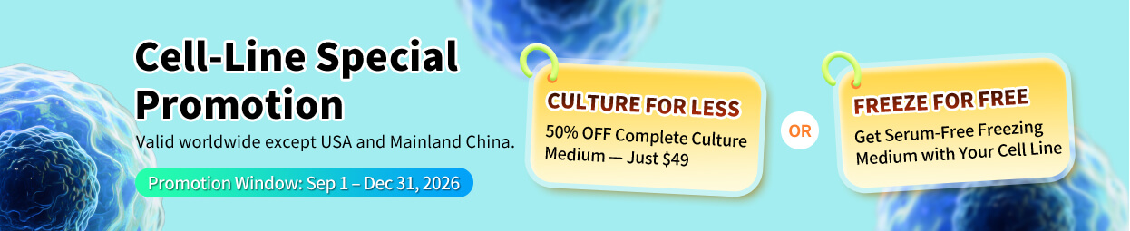 Double Special Offer-1
