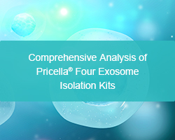 Comprehensive Analysis of Pricella® Four Exosome Isolation Kits