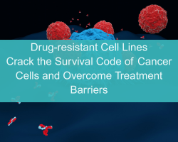 Drug-resistant Cell Lines一Crack the Survival Code of Cancer Cells and Overcome Treatment Barriers - cover