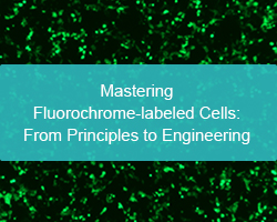 Mastering Fluorochrome-labeled Cells: From Principles to Engineering - cover