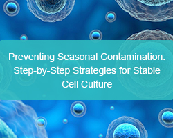 Preventing Seasonal Contamination: Step-by-Step Strategies for Stable Cell Culture - cover