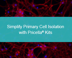 Simplify Primary Cell Isolation with Pricella® Kits - cover