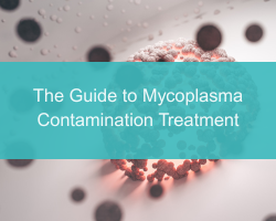 The Guide to Mycoplasma Contamination Treatment - cover