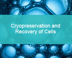 Cryopreservation and Recovery of Cells - cover
