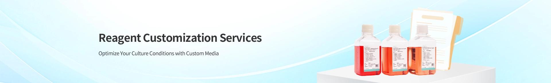 Media Customization Services